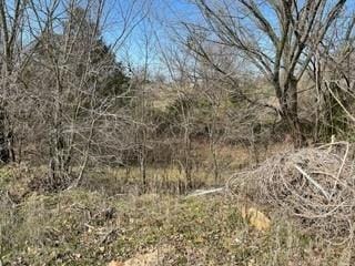 2105 County Road 4698, Boyd, TX 76023 - photo 3