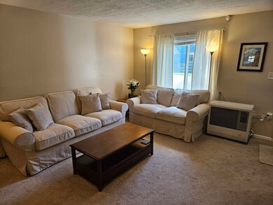 10 Madison Dr unit 89, Woodstock, NH 03262 - photo 3