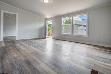 33 Long Drain Rd, Core, WV 26541 - photo 2