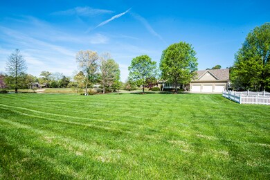yard 2