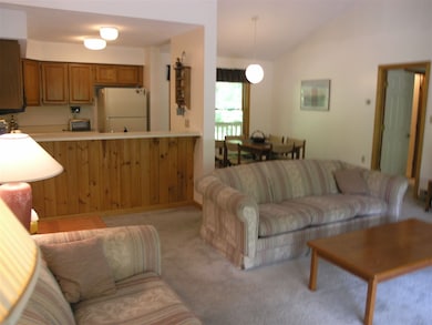 26 Penstock unit 12, Lincoln, NH 03251 - photo 5