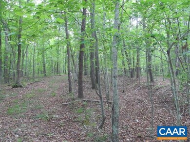 200 ac Buck Island Rd, Scottsville, VA 22902 - photo 5