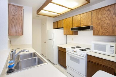Elm_Tempe-22