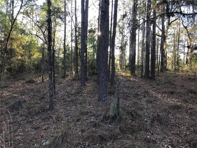 8965 SW 212th Ct, Dunnellon, FL 34431 - photo 6