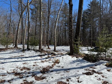 Septic site