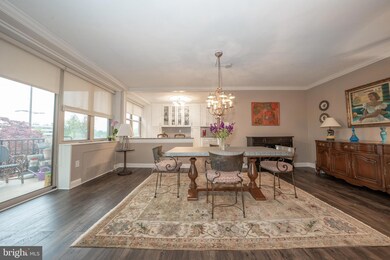 The Trianon unit 310, Bala Cynwyd, PA 19004 - photo 4