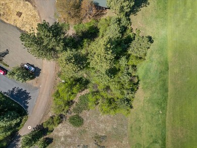 L4 Ponderosa Ct unit 4, New Meadows, ID 83654 - photo 3