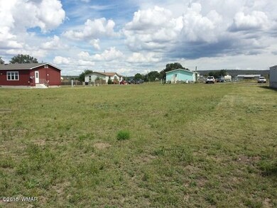 Lot 16 Hillcrest Subsivision, Springerville, AZ 85938 - photo 6