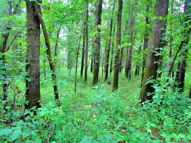 Highway 24 Lot unit WP001, Keytesville, MO 65261 - photo 3