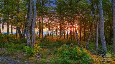 0 Mountain Grove Ln unit Lot 68 CAR4248239, Fletcher, NC 28732 - photo 3