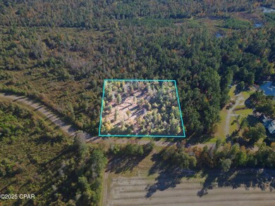 0 Parramore Rd, Sneads, FL 32460 - photo 4