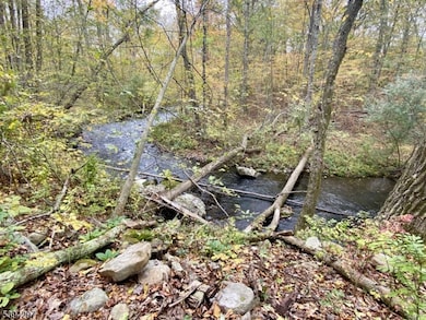 7 Stempert Rd, Branchville, NJ 07826 - photo 4