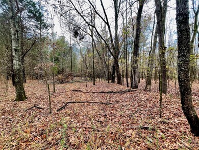 2234 Corinth Rd, Gaffney, SC 29340 - photo 3