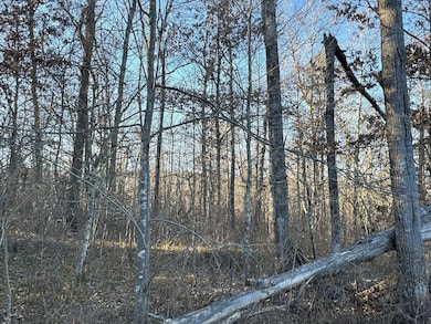 TBD Pow Rd, Springbrook, WI 54875 - photo 7