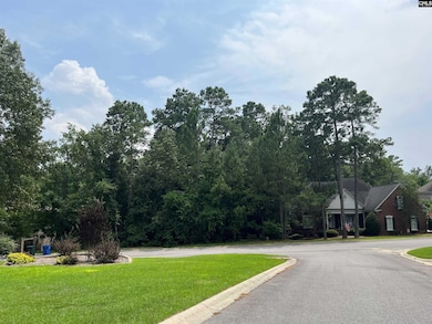 200 Deer Crossing Rd, Elgin, SC 29045 - photo 2