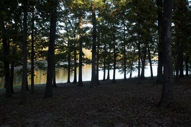 Jax Creek Lakefront Cabins Lakefront Hom