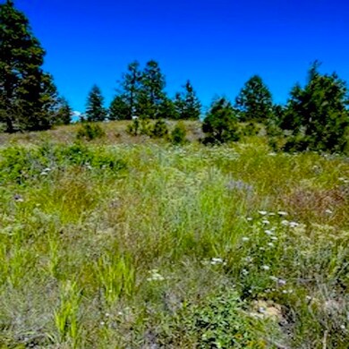 Lot A Kronos Short Plat Ln, Davenport, WA 99122 - photo 4