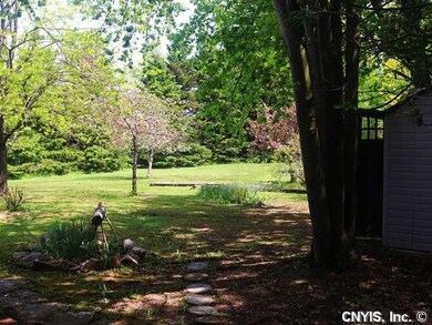 Backyard. Enjoy the lazy days of summer.