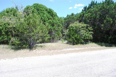 8124 High Mesa Dr, Whitney, TX 76692 - photo 2