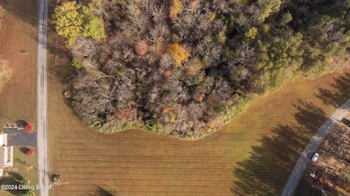 6-web-or-mls-DJI_20241101092039_0936_D