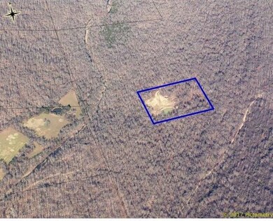 unlisted-address, Winslow, AR 72959 - photo 4