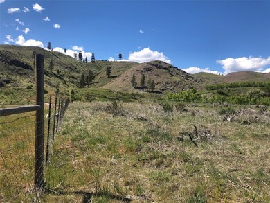 987 B Washington 153 unit Lot 2, Methow, WA 98834 - photo 4