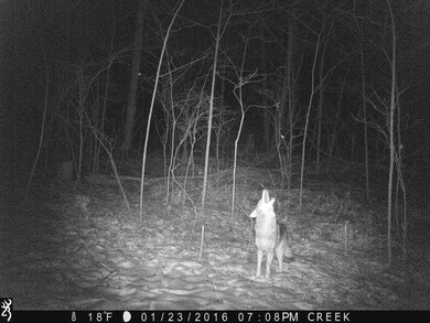 2190 S Poplar Ct, Bloomfield, IN 47424 - photo 5