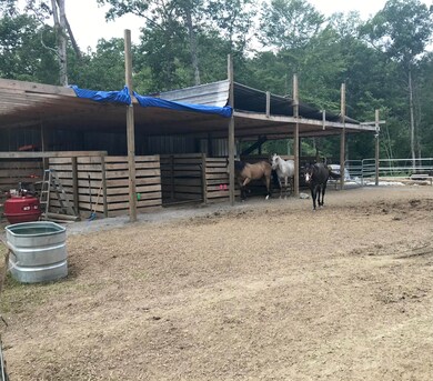 Barn/Stable