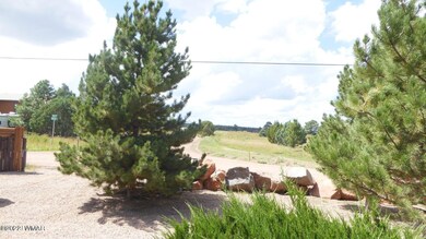View from front deck