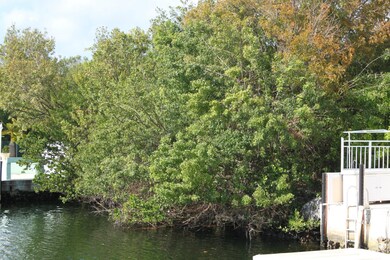 VIEW FROM THE CANAL