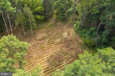 206 Buck Toe Hills Rd, Kennett Square, PA 19348 - photo 3