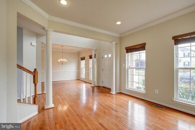 23136 Newcut Rd, Clarksburg, MD 20871 - photo 4