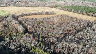 00 Arkansas 124, Cleveland, AR 72030 - photo 7