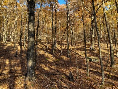 0 Madison 4095 unit 1204133, Crosses, AR 72727 - photo 7