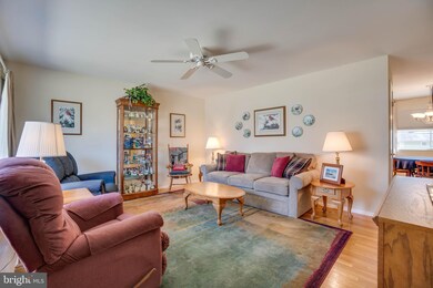 4422 Judith St, Rockville, MD 20853 - photo 5