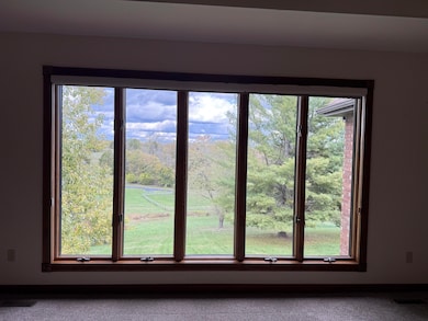 201 W River Bluff Dr, Ozark, MO 65721 - photo 4