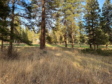 0 Merganser Rd unit Lot 106 220174097, Klamath Falls, OR 97601 - photo 6