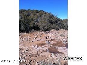 5433 N Kit Fox Trail unit 239, Kingman, AZ 86401 - photo 5