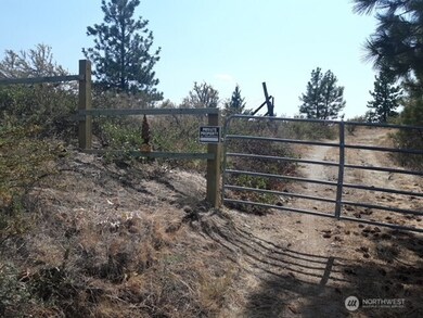 0 nna Echo Ridge, Chelan, WA 98816 - photo 6