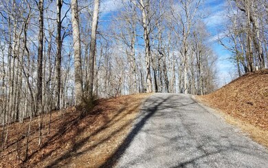Additional View