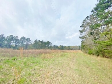 0 Ferguson Cir, McComb, MS 39648 - photo 5