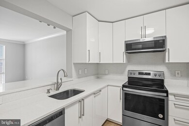 23 Pierside Dr unit 409, Baltimore, MD 21230 - photo 5