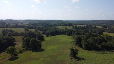000 E State Highway 90, Washburn, MO 65772 - photo 7