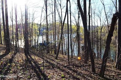 lot 21 Deer Run Point, Lafollette, TN 37766 - photo 2