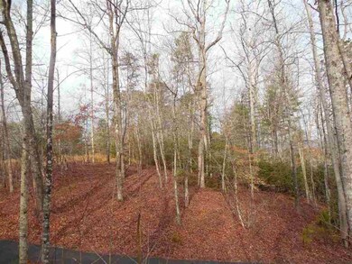 1e Watermelon Way unit Fiddlers Cove, Tract, Tamassee, SC 29686 - photo 2