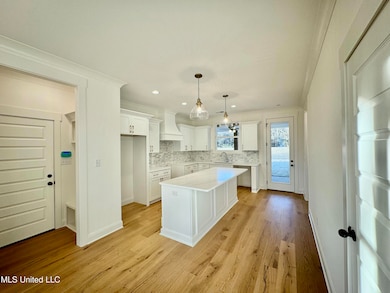 2532 Saint Charles Cove, Southaven, MS 38672 - photo 4