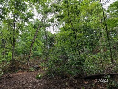 East Branch Rd 32 acres