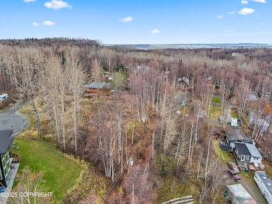 6460 Quiet Cir, Anchorage, AK 99502 - photo 4