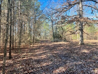 2004 County Road 915, Nacogdoches, TX 75964 - photo 5