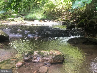 0 Corner Rt 259 S & Hunkerson Gap Rd unit WVHD2001852, Mathias, WV 26812 - photo 7